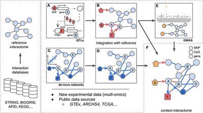 Inferring Interaction Networks From Multi-Omics Data